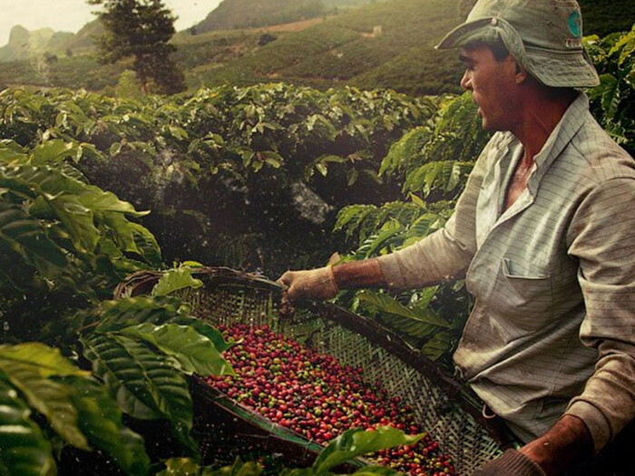 BRAZIL FAZENDA LAGOA