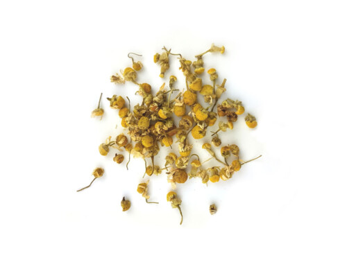 Chamomile